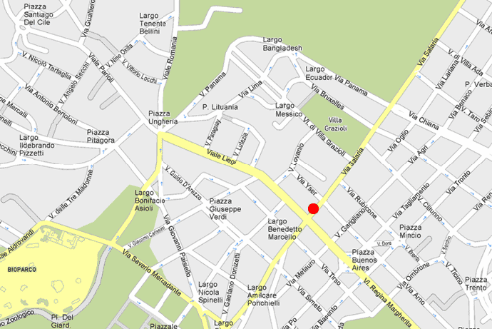 chirurgia e cura dela calvizie